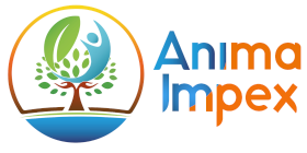 Logo anima
